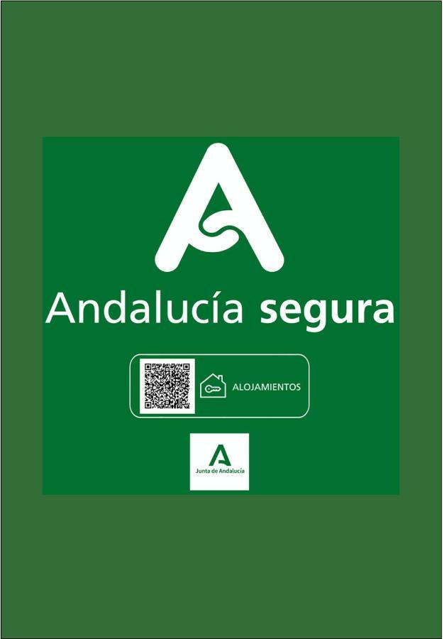 Holidays2Malaga Calle Nueva High Speed Wifi Ngoại thất bức ảnh